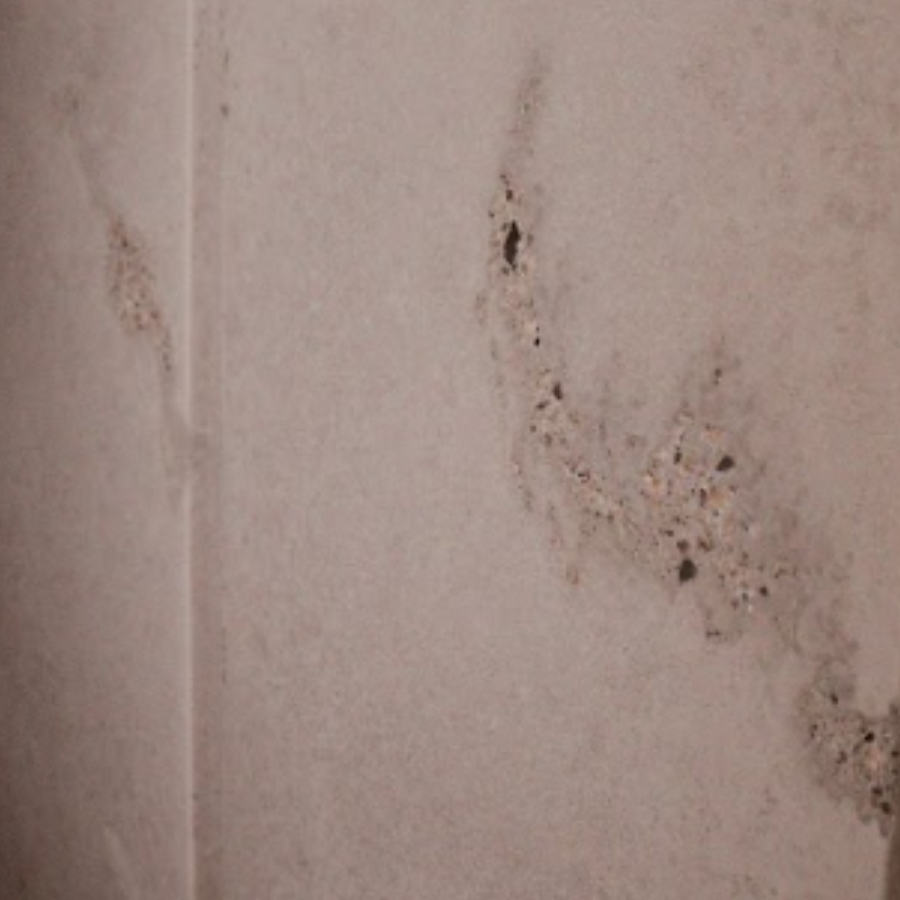DESTROIER PAREDE ARGENTO